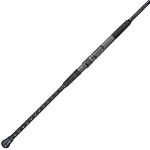 Dark Matter John Skinner Surf Spinning Rod