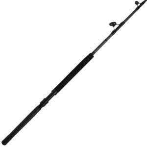 Penn Ally II Straight Butt Conventional Boat Rod, ALLYBWII3050C60AR