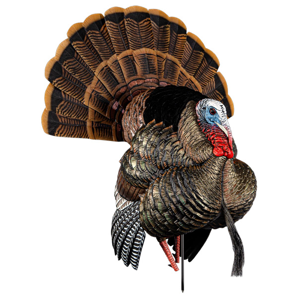 Avian-X Hdr Strutter Turkey Decoy 1 Avian-X HDR Strutter Turkey Decoy