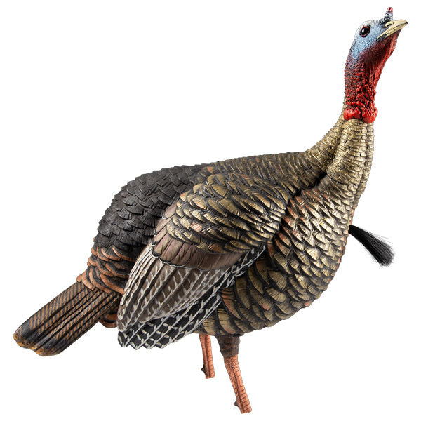 Avian-X Hdr Jake Turkey Decoy 1 Avian-X HDR Jake Turkey Decoy