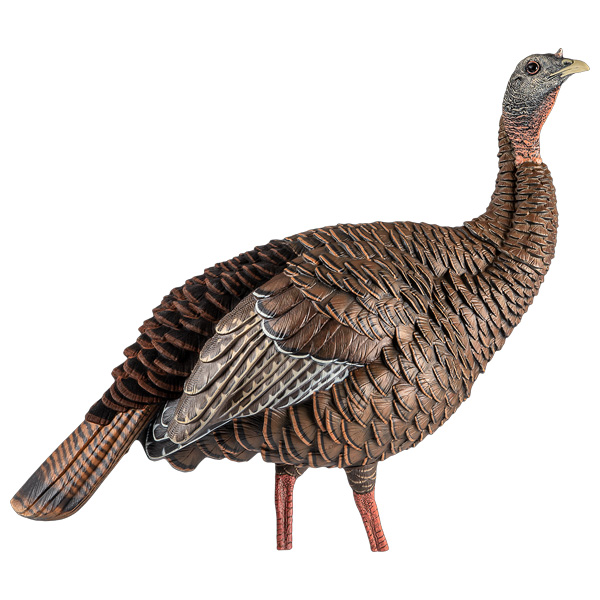 Avian-X Hdr Hen Turkey Decoy 1 Avian-X HDR Hen Turkey Decoy