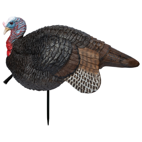 Primos Lil Gobbstopper Jake Turkey Decoy 1 Primos Lil Gobbstopper Jake Turkey Decoy