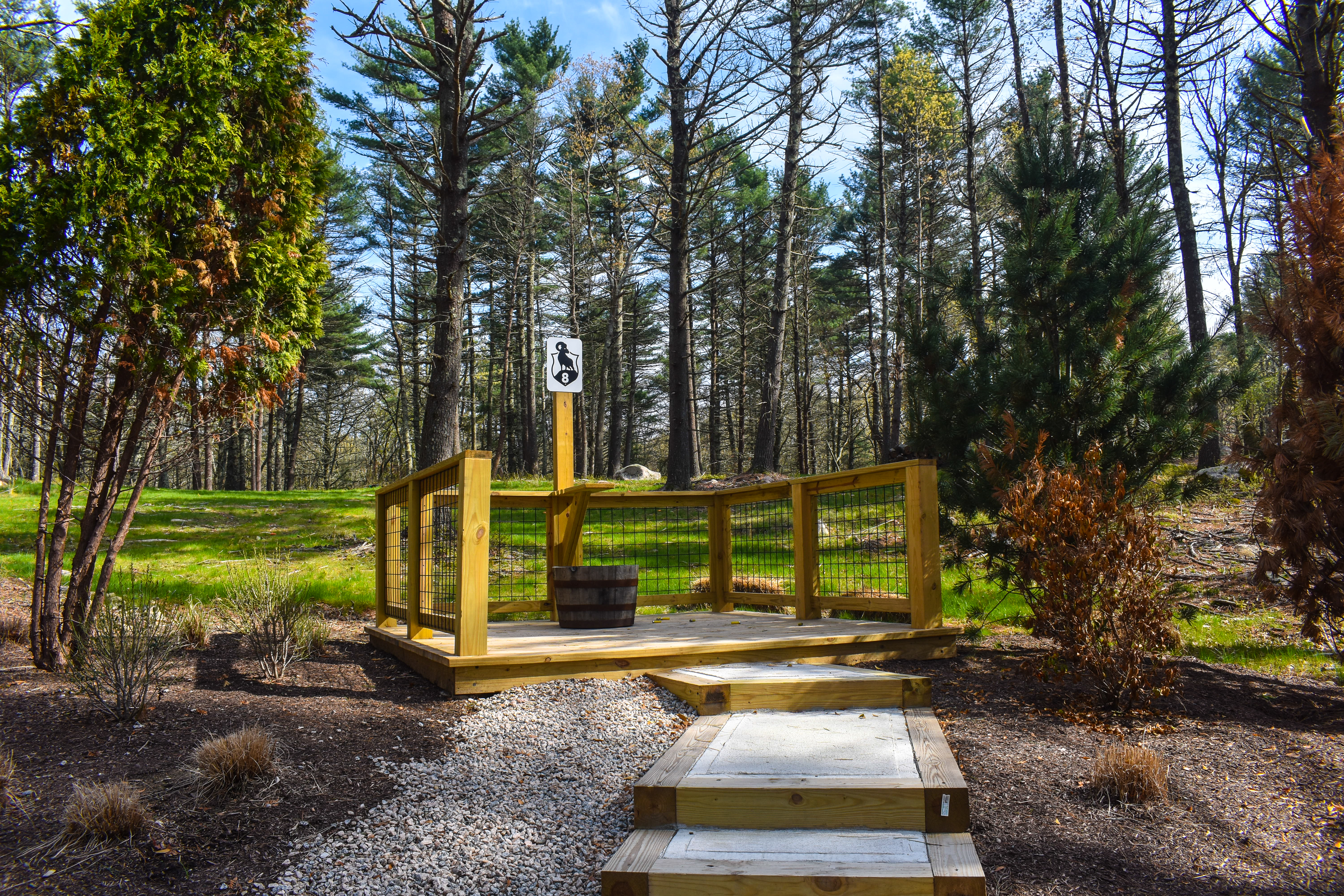 Station 8 — open platform off the woodline